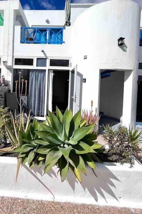 17 Puerto Del Carmen Blueshark Lejlighed Eksteriør billede